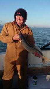 Big Walleye Caught in Lake Erie